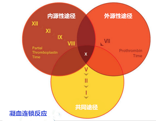 【2个小病例，掌握获得性血友病的诊断与治疗】-中华医学网